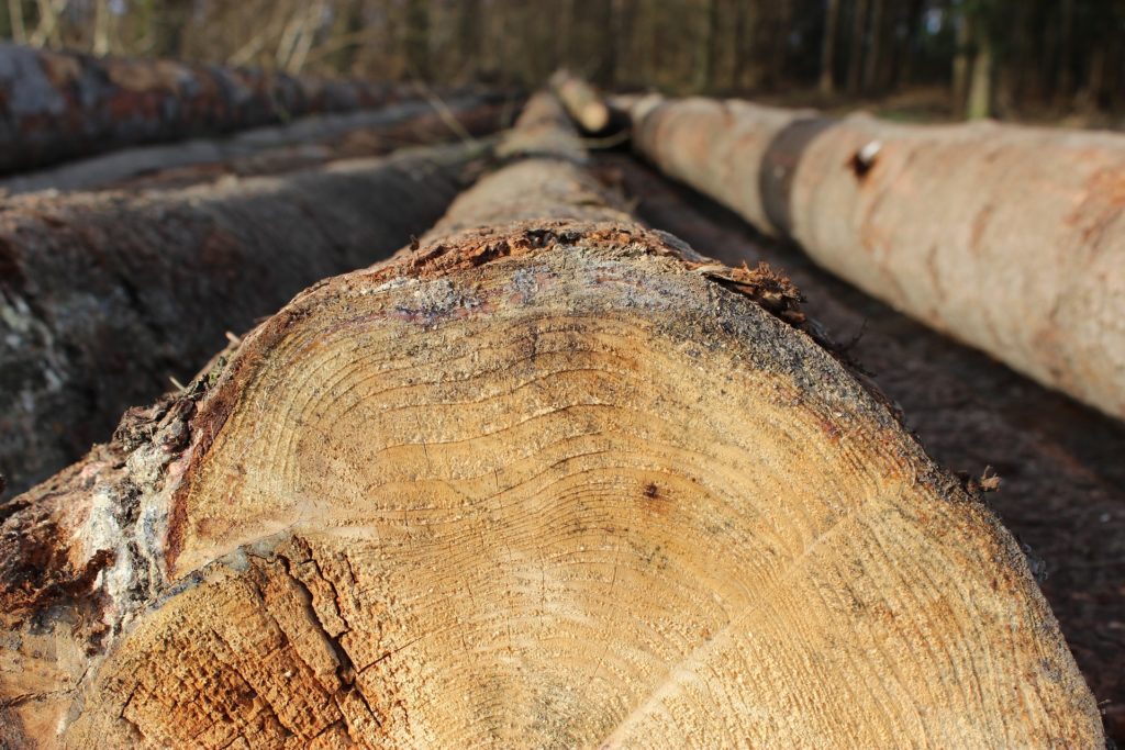 Des Mat Riaux Naturels Pour Votre Maison En Bois Trecobois