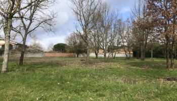 Terrain à Villeneuve-Tolosane  600m2 150000 € - CLE-24-10-17-12