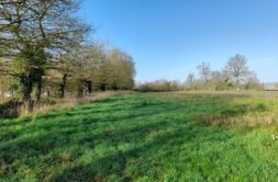 Terrain à Parthenay-de-Bretagne 35850 336m2 89500 € - ABRE-24-11-05-7