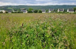 Terrain à La-Forest-Landerneau 29800 467m2 77000 € - RBRO-24-11-11-9