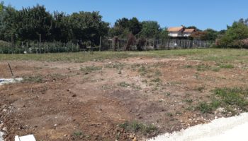 Terrain à Saint-Palais-sur-Mer 17420 566m2 320000 € - OBE-24-11-04-19