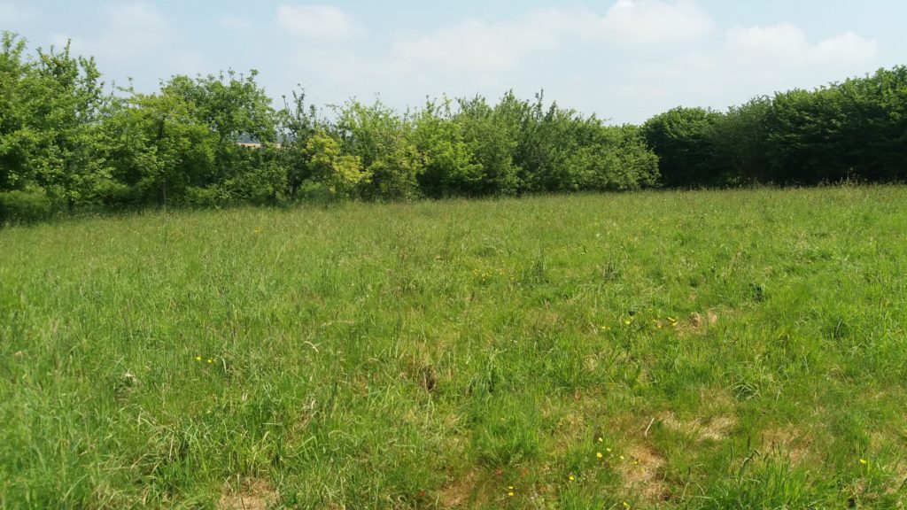 Terrain à Saint-Cast-le-Guildo 22380 420m2 185000 € - YOBE-24-12-17-1