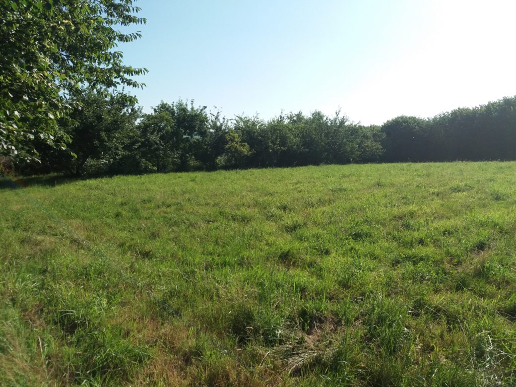 Terrain à Saint-Cast-le-Guildo 22380 503m2 206000 € - YOBE-24-12-17-5