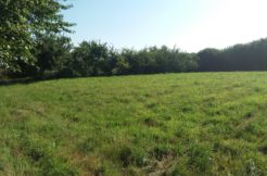 Terrain à Saint-Cast-le-Guildo 22380 503m2 206000 € - YOBE-24-12-17-5