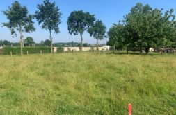 Terrain à Saint-Remy-du-Plain 35560 449m2 49500 € - MCHO-25-01-06-120