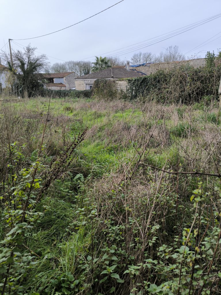 Terrain à Tonnay-Charente 17430 2100m2 149900 € - FRAG-25-01-28-37