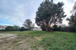 Terrain à Vaux-sur-Mer 17640 647m2 375000 € - VITR-25-01-22-4