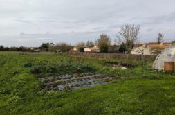 Terrain à Ferrieres 17170 200m2 49400 € - FRAG-25-01-28-33