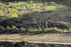 Terrain à Guimaec 29620 650m2 45500 € - CDER-25-03-14-1