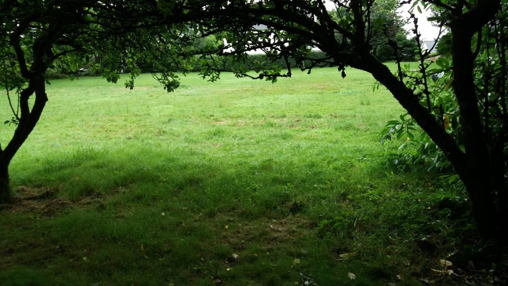 Terrain à Landehen 22400 680m2 59900 € - YLM-25-03-31-15